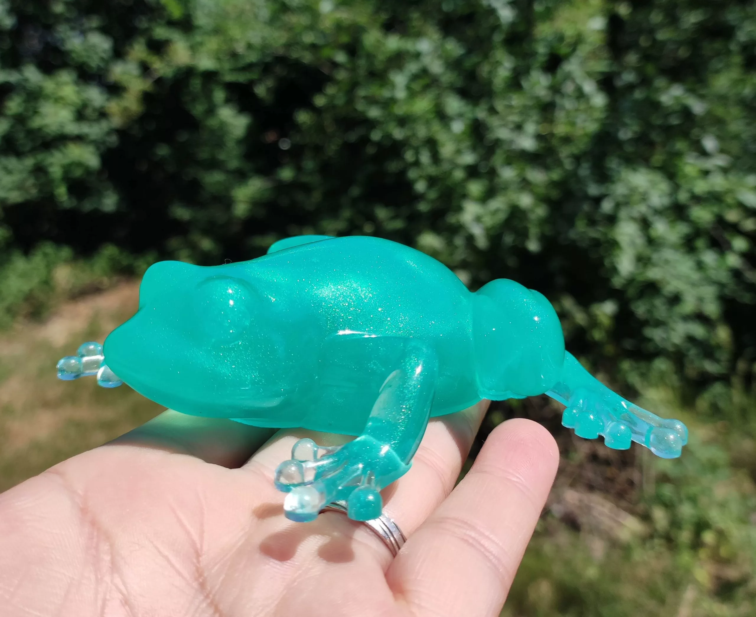 Grenouille verte – Image 2