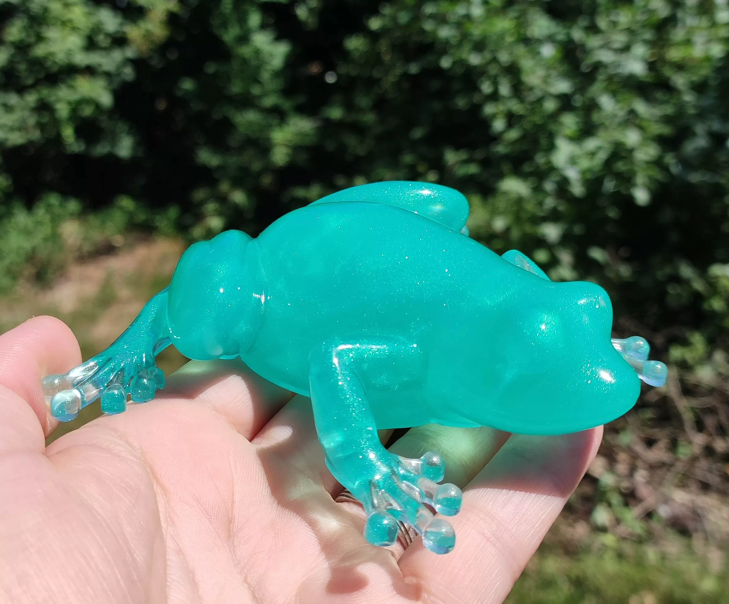 Grenouille verte – Image 1