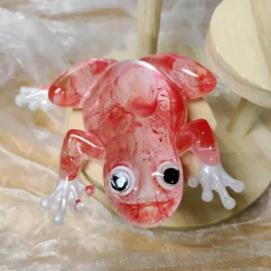 Grenouille rouge – Image 3