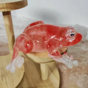 Grenouille rouge – Image 2