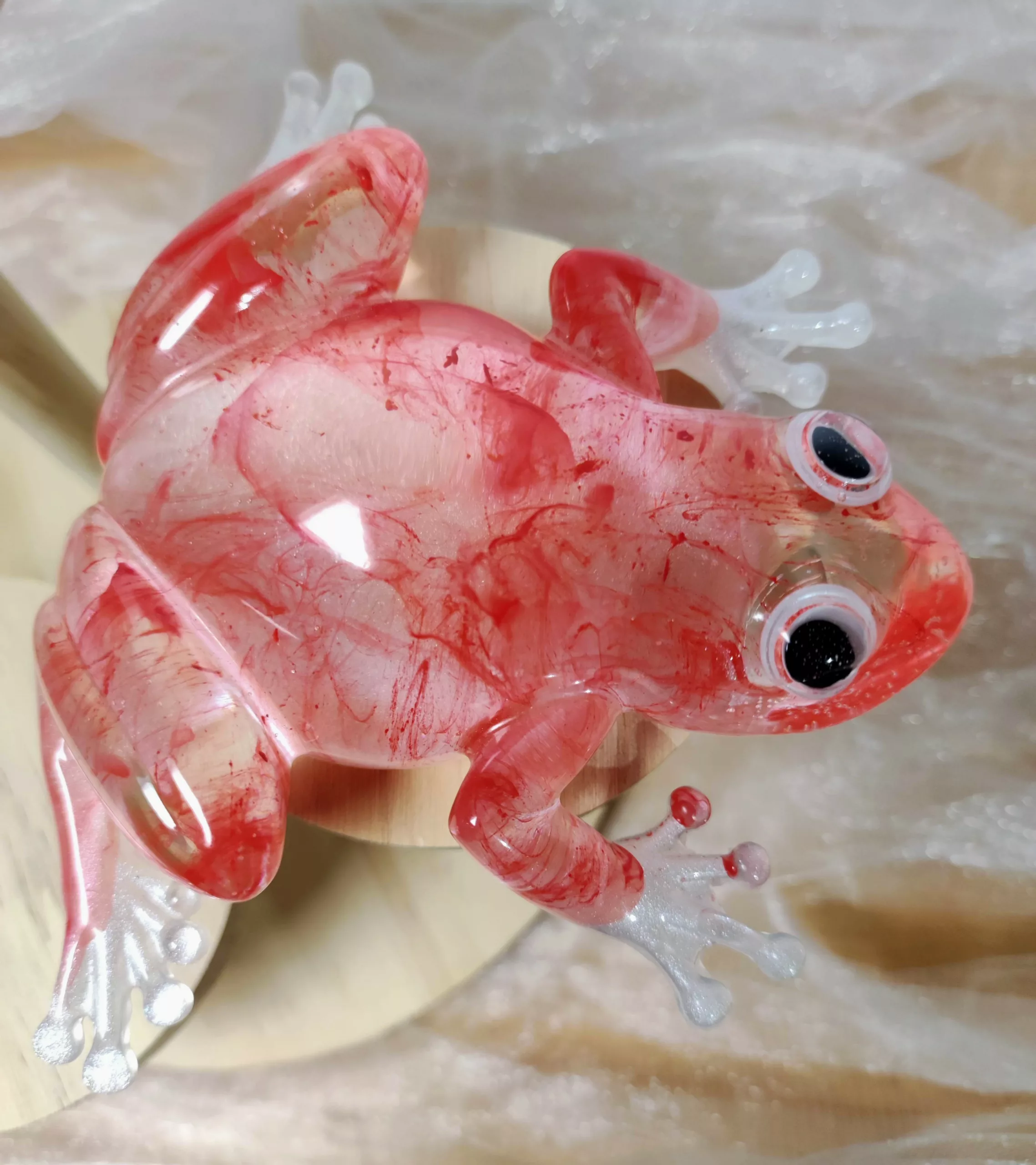 Grenouille rouge – Image 1