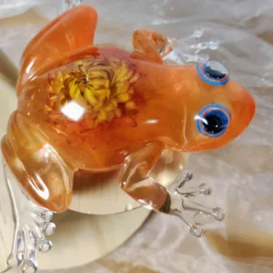Grenouille avec fleurs séchées – Image 2