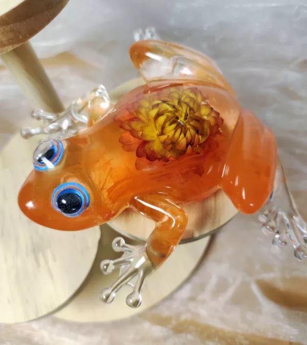 Grenouille avec fleurs séchées