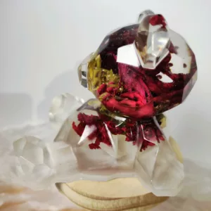 Grand ourson – Image 2