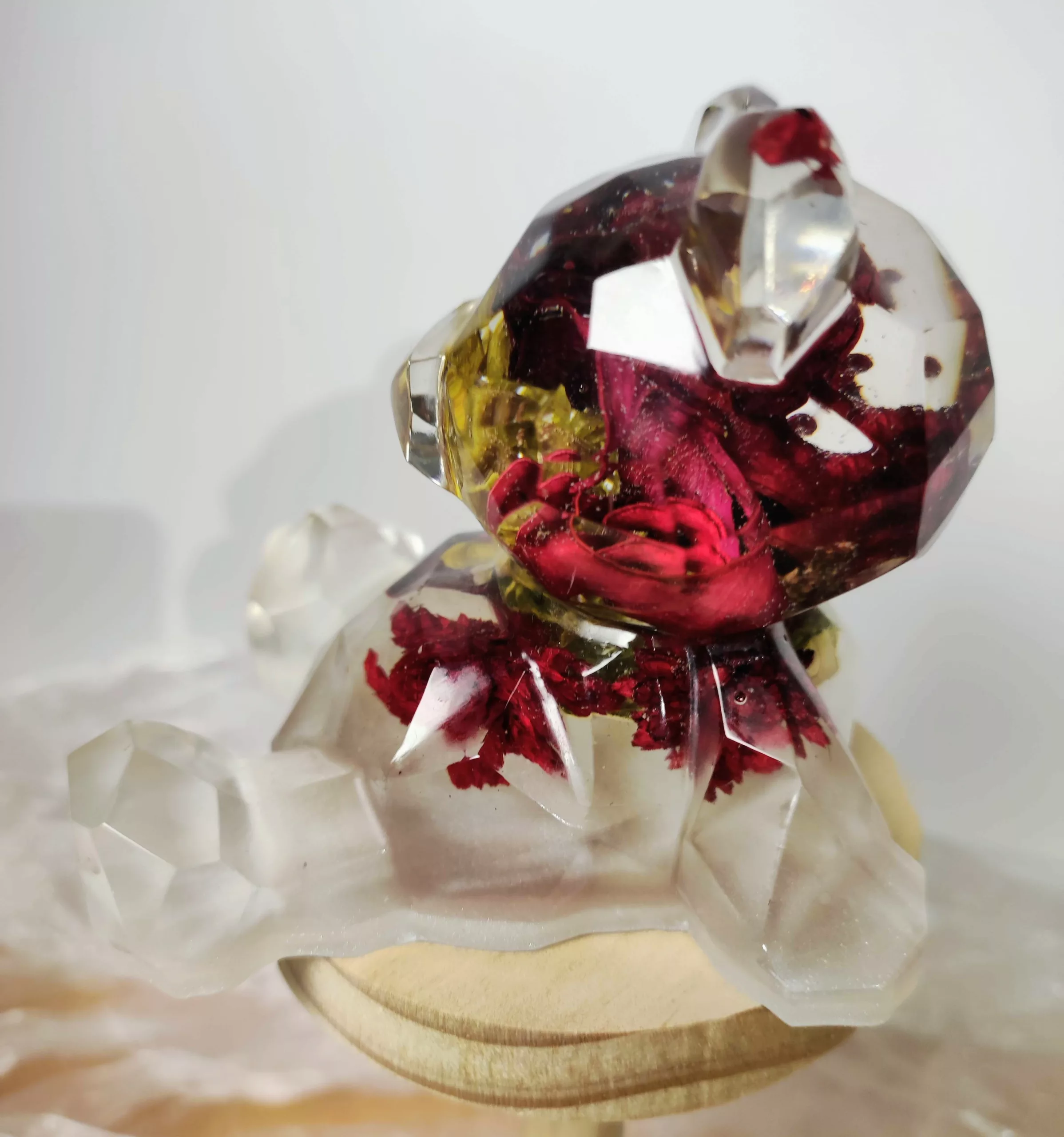 Grand ourson – Image 2