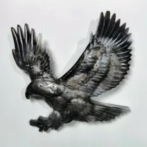 Petit aigle en envol