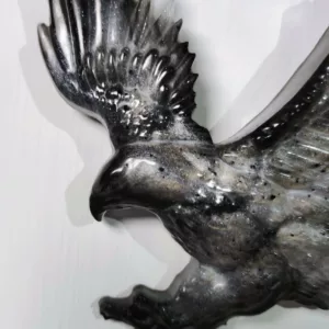 Petit aigle en envol – Image 2