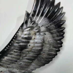 Petit aigle en envol – Image 3